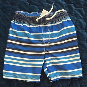 Blue Striped Swim Shorts